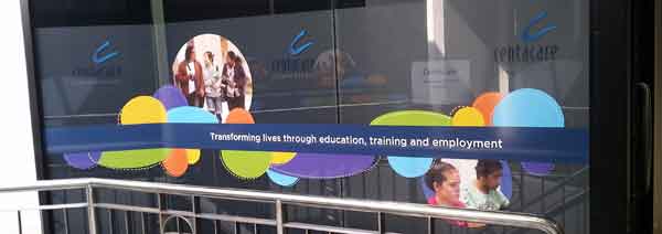 Window Graphics & Decals